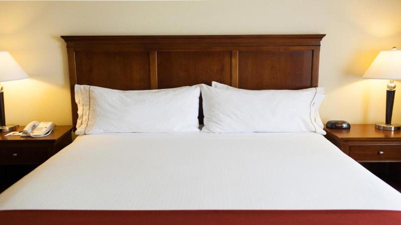 Holiday Inn Express Hotel & Suites Turlock photo 11