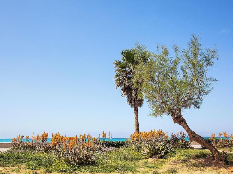 Carmen Playa image