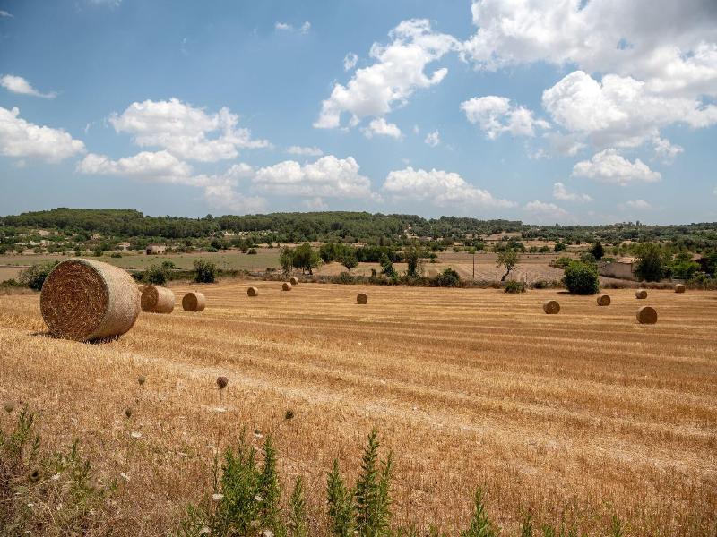 Hotel Rural Son Manera image