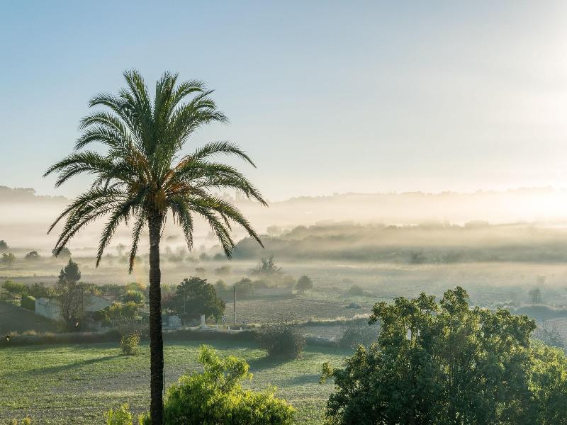 Hotel Rural Son Manera image