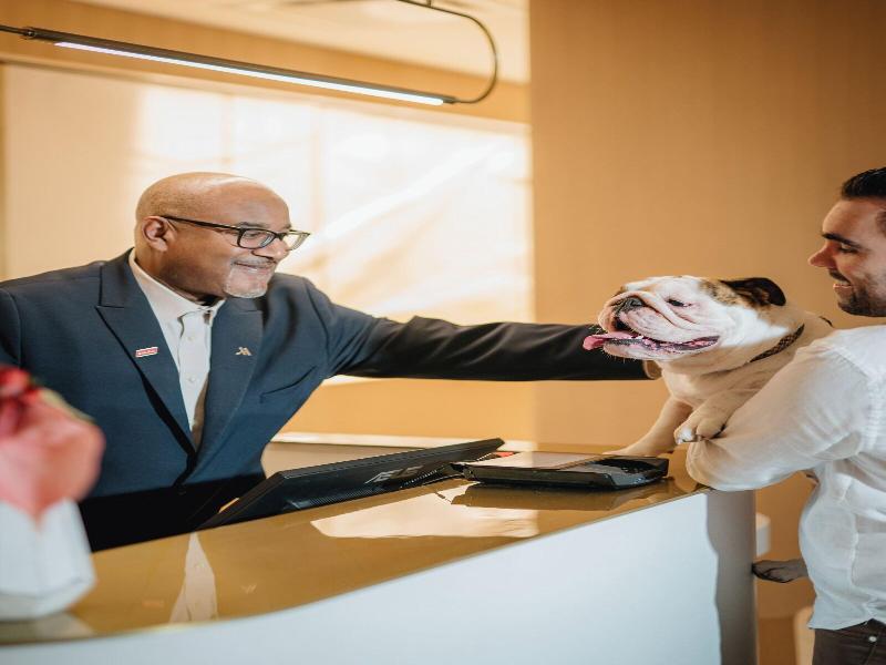 Montreal Marriott Chateau Champlain image