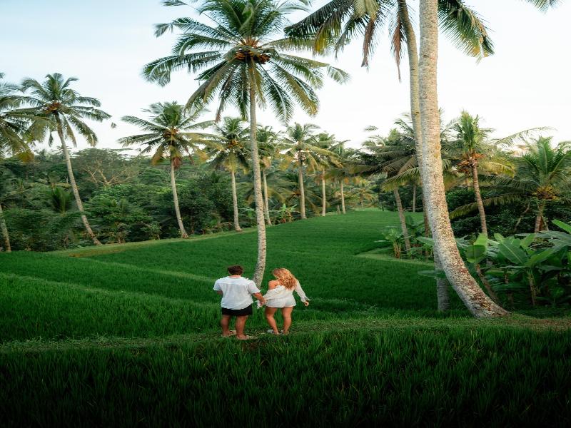 Hanging Gardens of Bali image