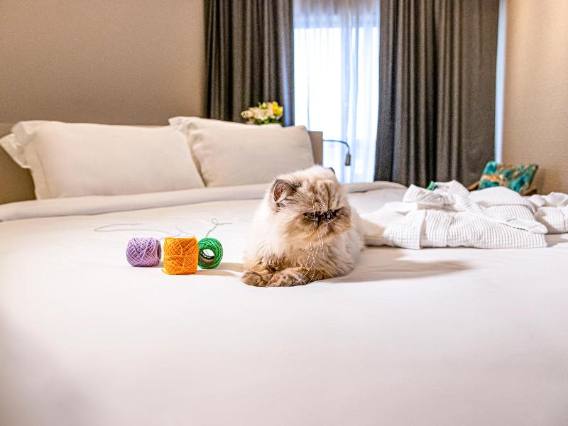Mercure Florianopolis image