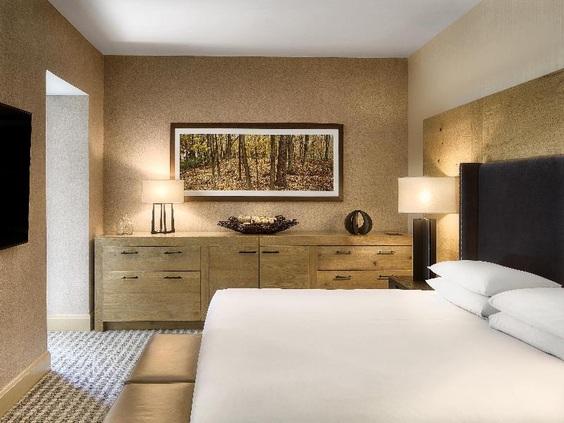 Hyatt Regency Lake Tahoe image