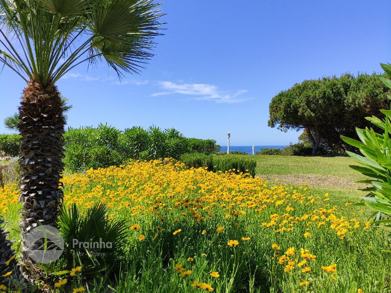 Prainha Clube image