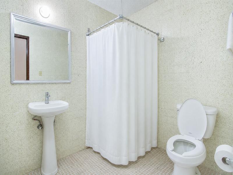 Premier image