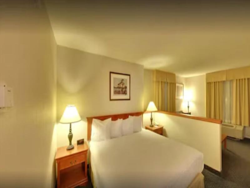 Days Inn Suites by Wyndham By the Falls image