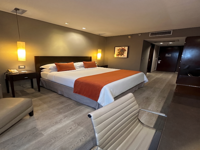 Libertador Hotel image