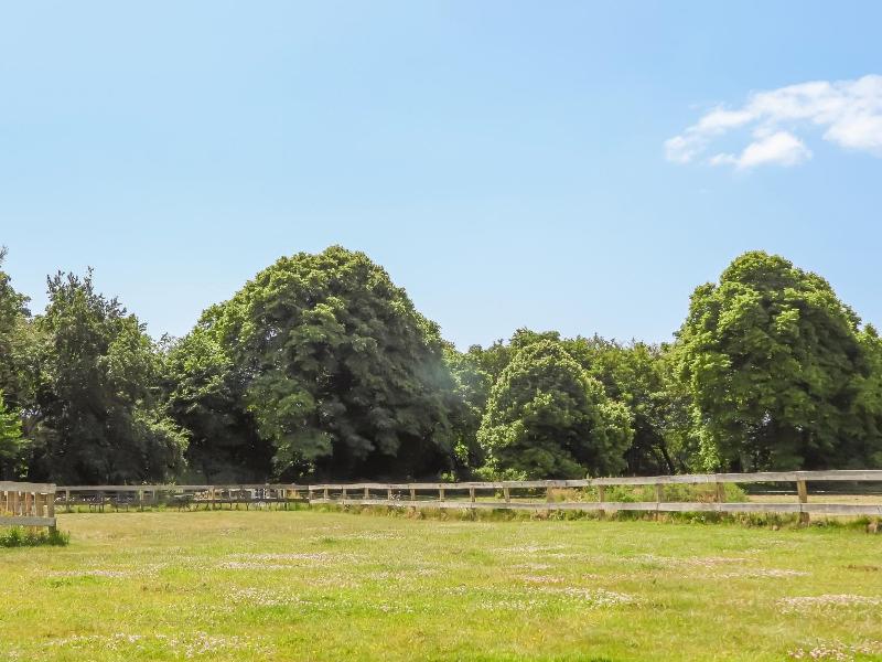 South Lawn image