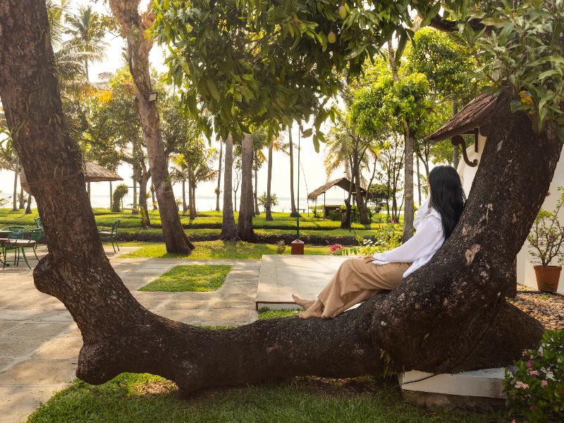 Coconut Lagoon Kumarakom- A CGH Earth Experience image
