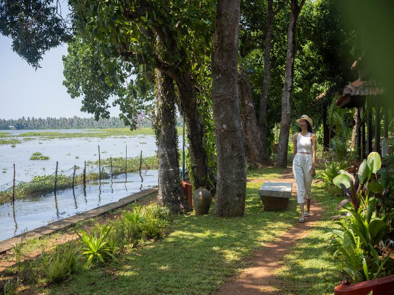 Coconut Lagoon Kumarakom- A CGH Earth Experience image