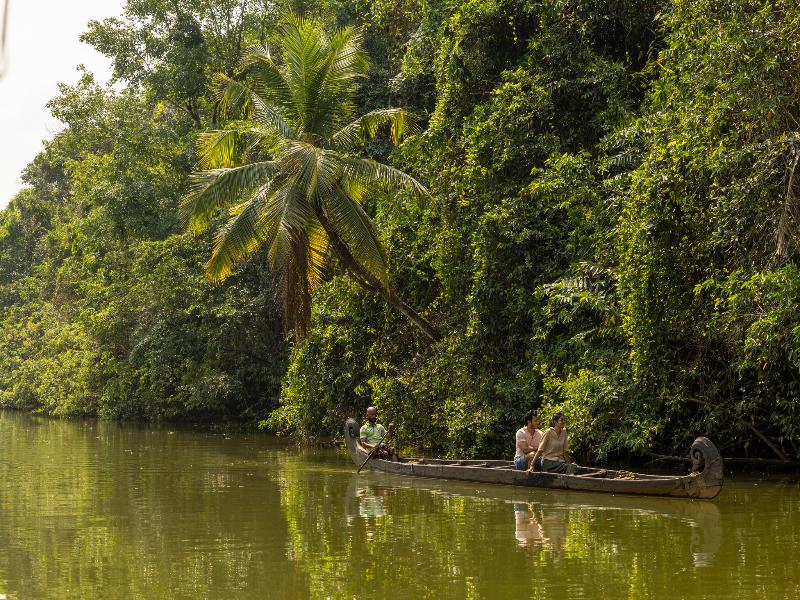Coconut Lagoon Kumarakom- A CGH Earth Experience image