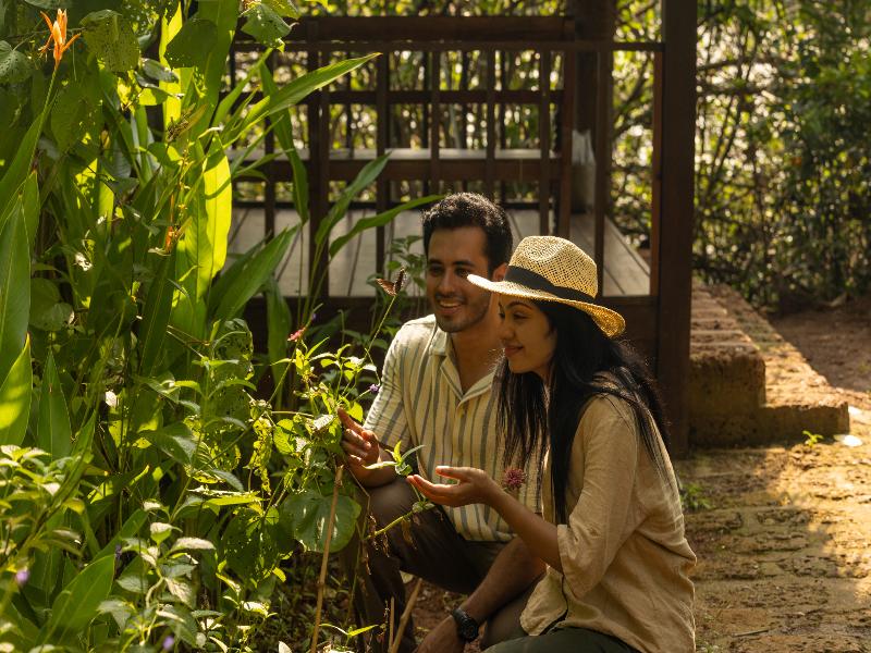 Coconut Lagoon Kumarakom- A CGH Earth Experience image