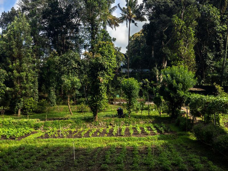 Spice Village Thekkady - A CGH Earth Experience