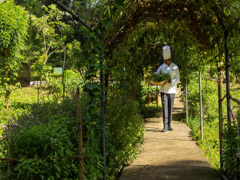 Spice Village Thekkady - A CGH Earth Experience