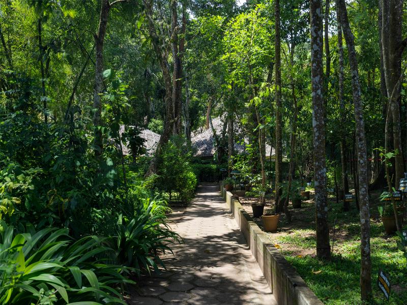 Spice Village Thekkady - A CGH Earth Experience
