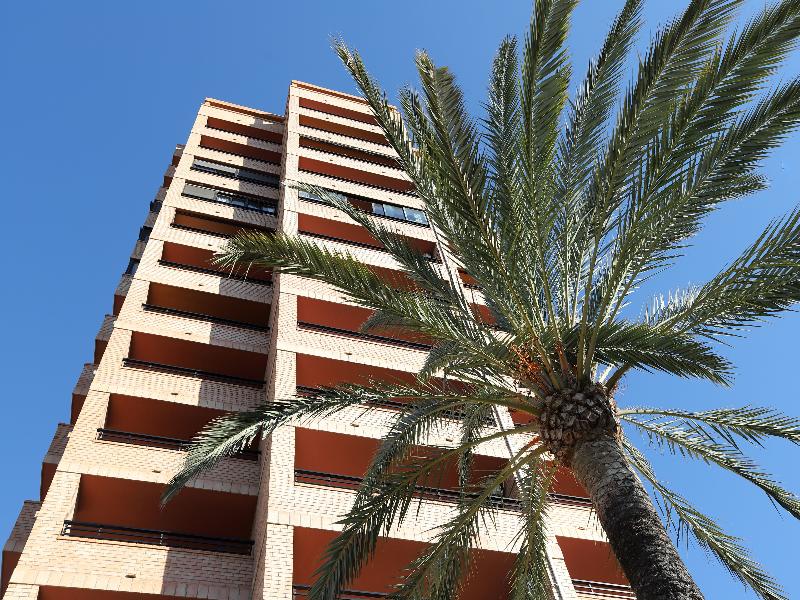 La Caseta Apartments  image
