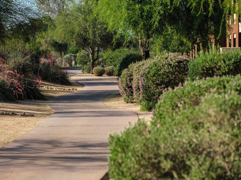 Westin Kierland Villas image