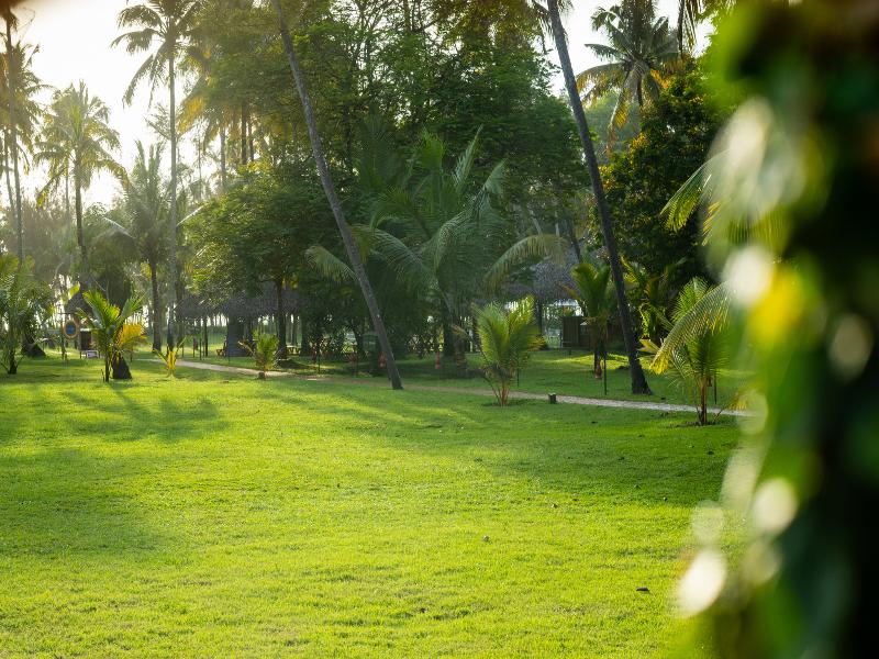 Marari Beach Resort - A CGH Earth Experience image