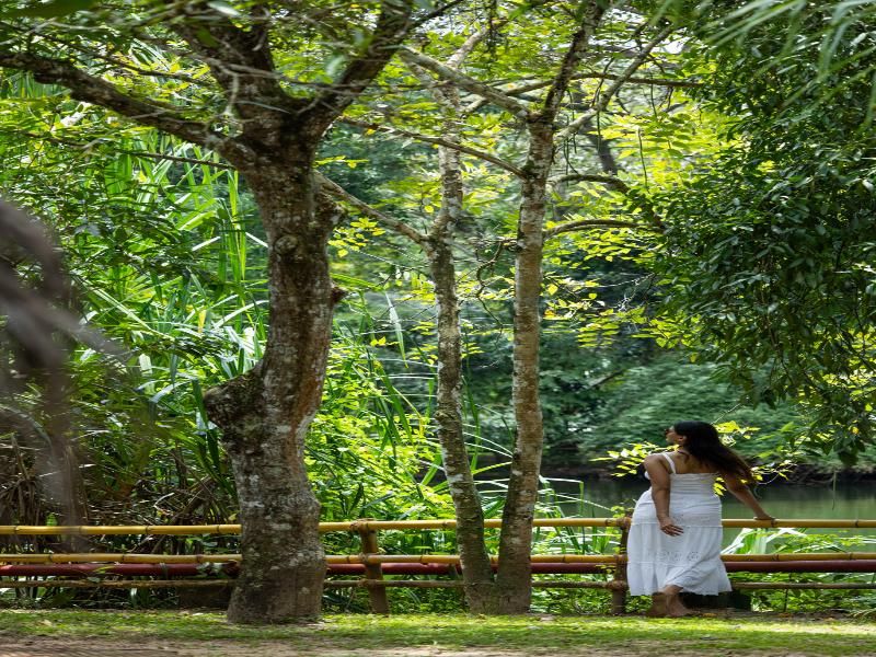 Marari Beach Resort - A CGH Earth Experience image