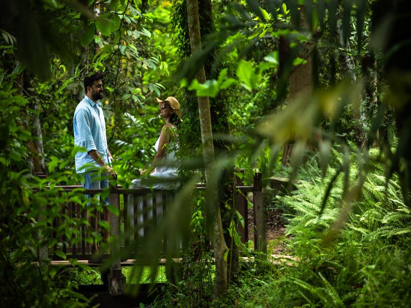 Marari Beach Resort - A CGH Earth Experience image