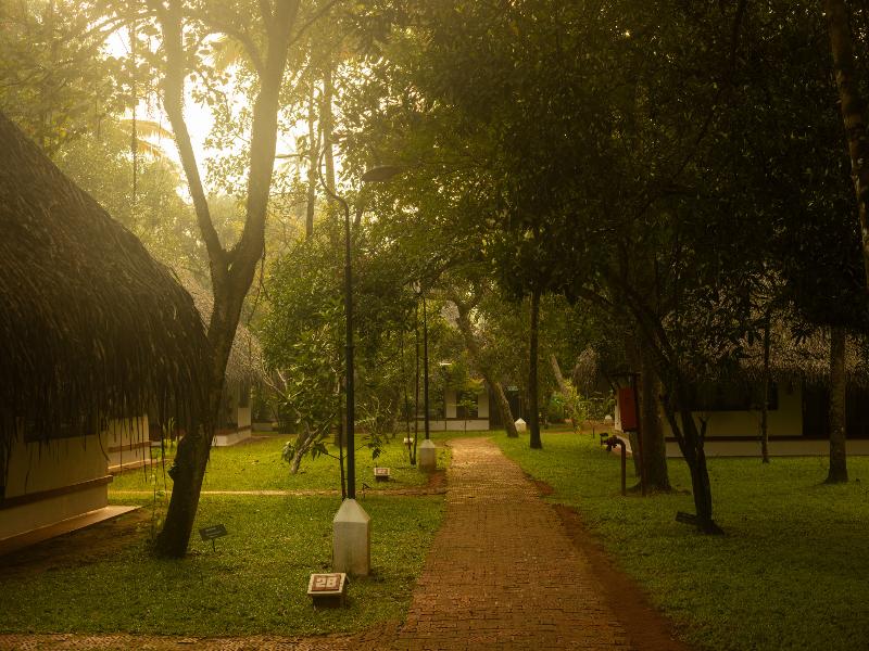 Marari Beach Resort - A CGH Earth Experience image