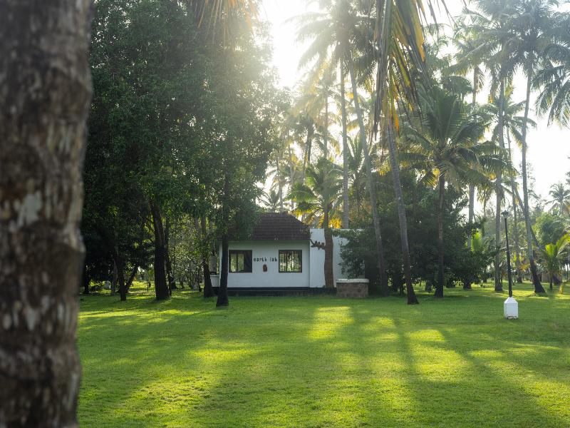 Marari Beach Resort - A CGH Earth Experience image