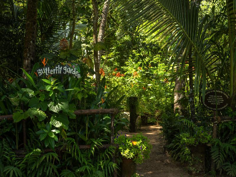 Marari Beach Resort - A CGH Earth Experience image