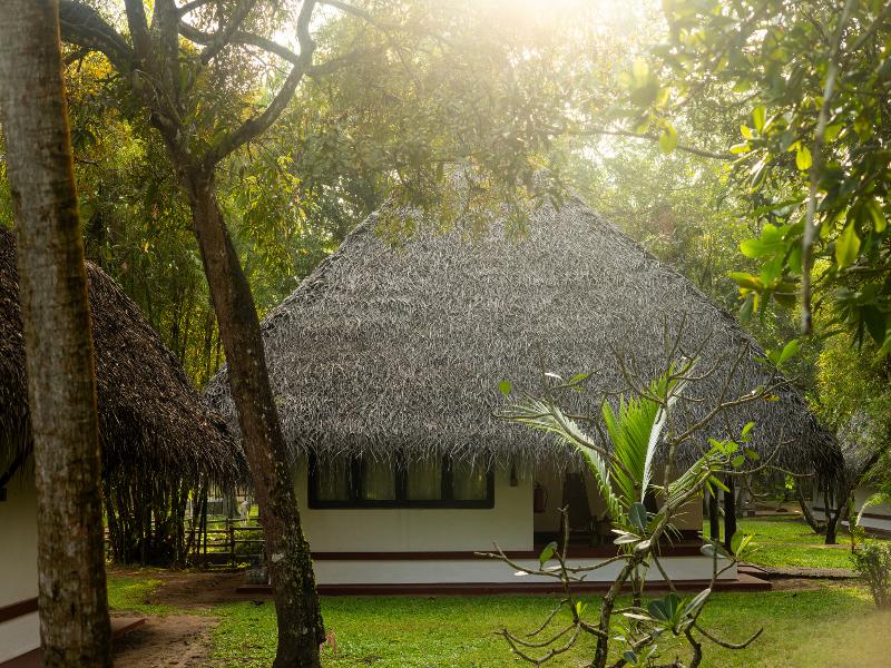 Marari Beach Resort - A CGH Earth Experience image