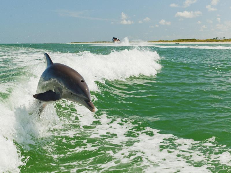 Holiday Inn & Suites Clearwater Beach S-Harboursid image