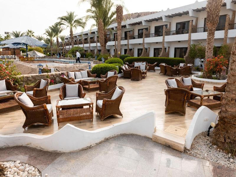 Partner Turquoise image