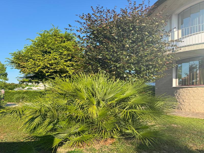 Angi Hotel image