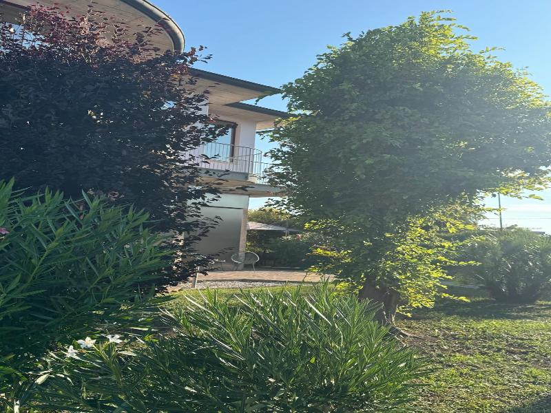 Angi Hotel image