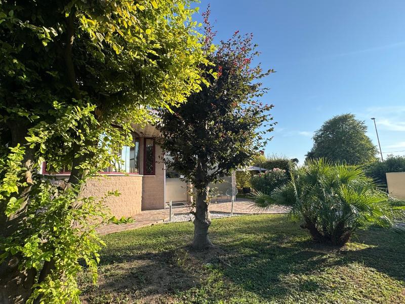 Angi Hotel image