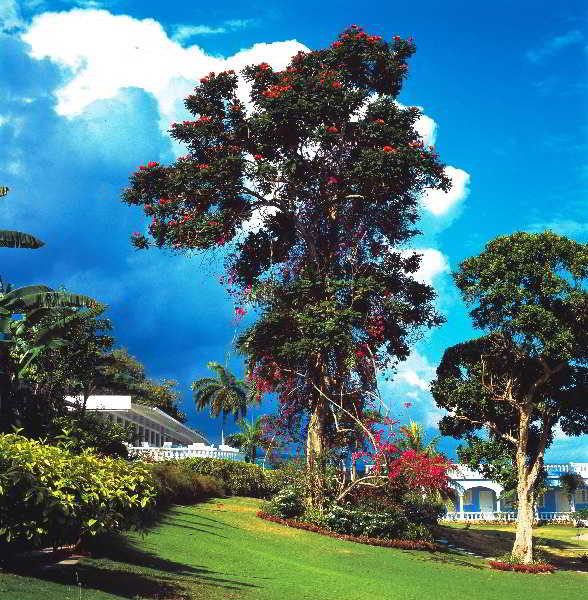 General view