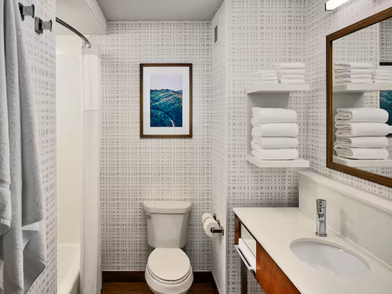 Hampton Inn Gatlinburg Historic Nature Trail image