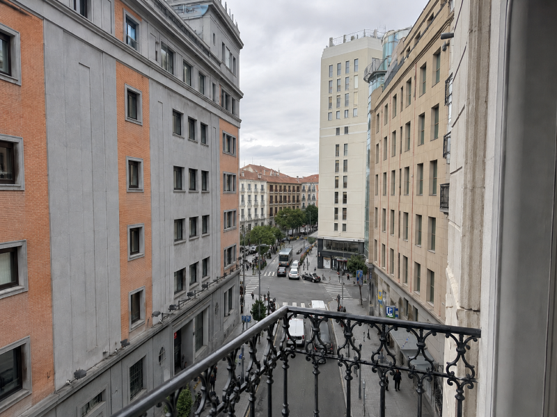 Petit Palace Plaza España image