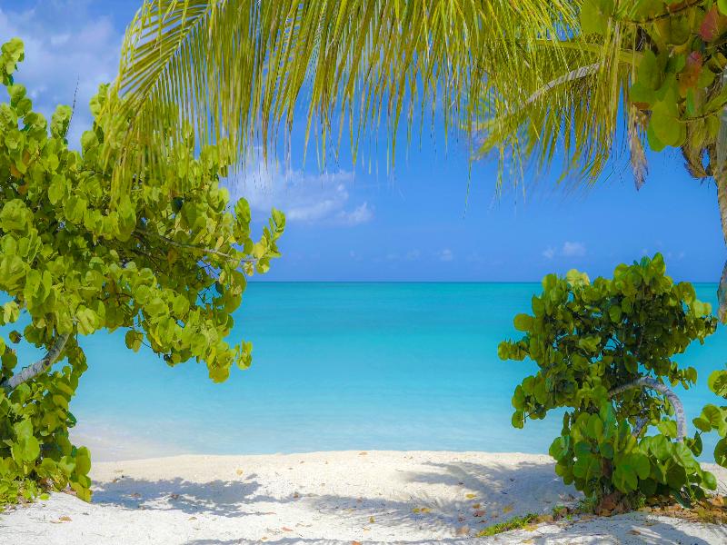 Cocobay Resort Antigua -All Inclusive- Adults Only image