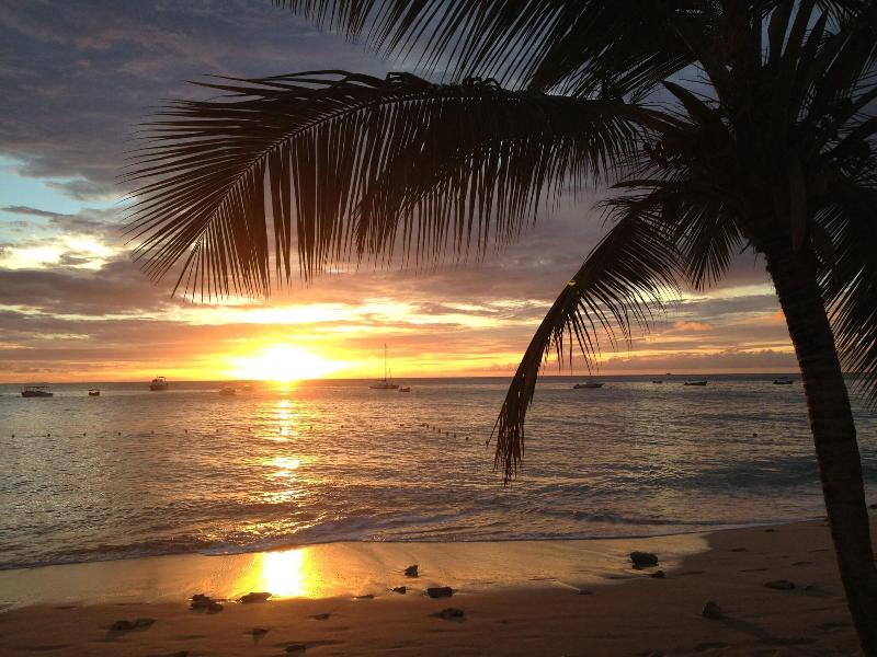 Sunswept Beach image