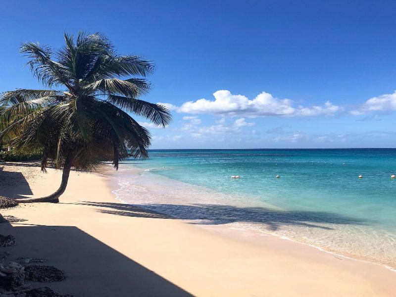Sunswept Beach image