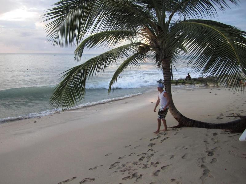 Sunswept Beach image