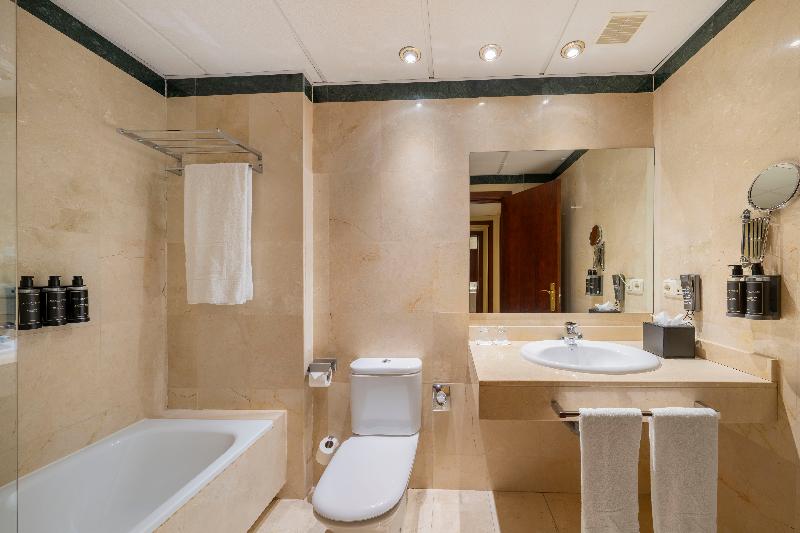 Eurostars Plaza Acueducto image