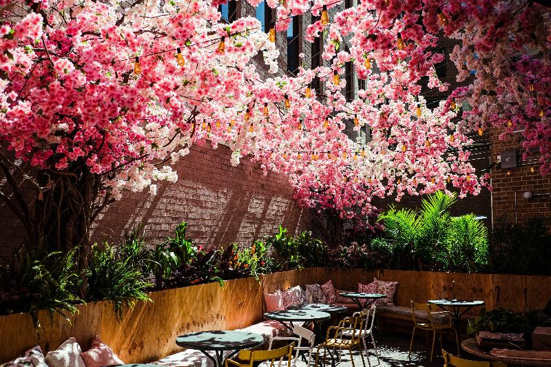 Stay in style at Vignette Collection Yours Truly Dc By IHG