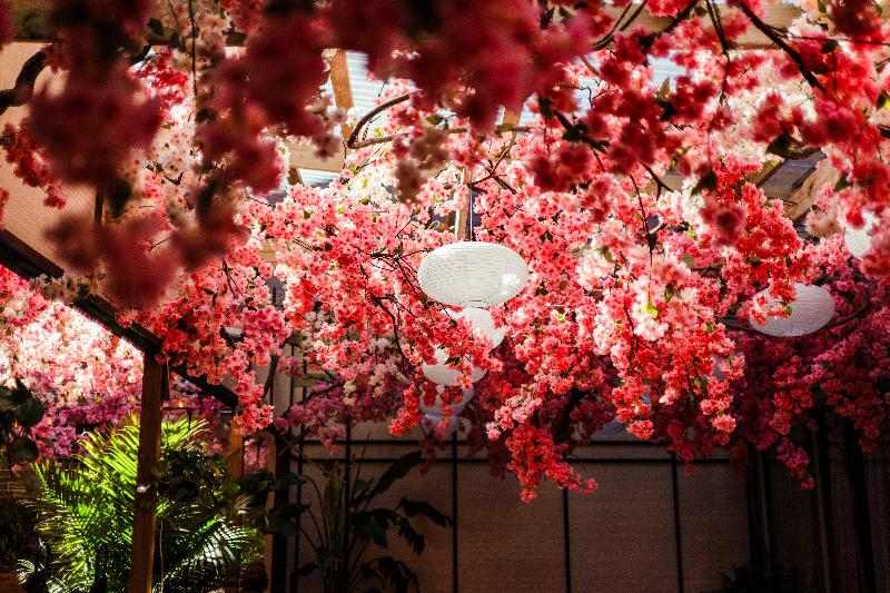 Stay in style at Vignette Collection Yours Truly Dc By IHG