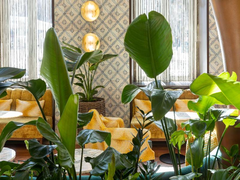 Heritage Avenida Liberdade, Heritage Collection image