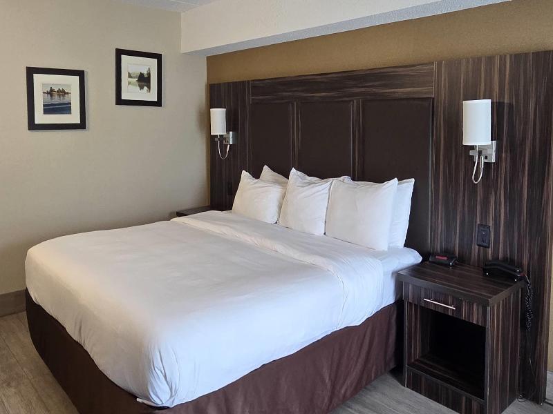 Comfort Inn Trenton image