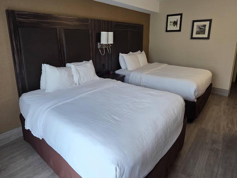 Comfort Inn Trenton image