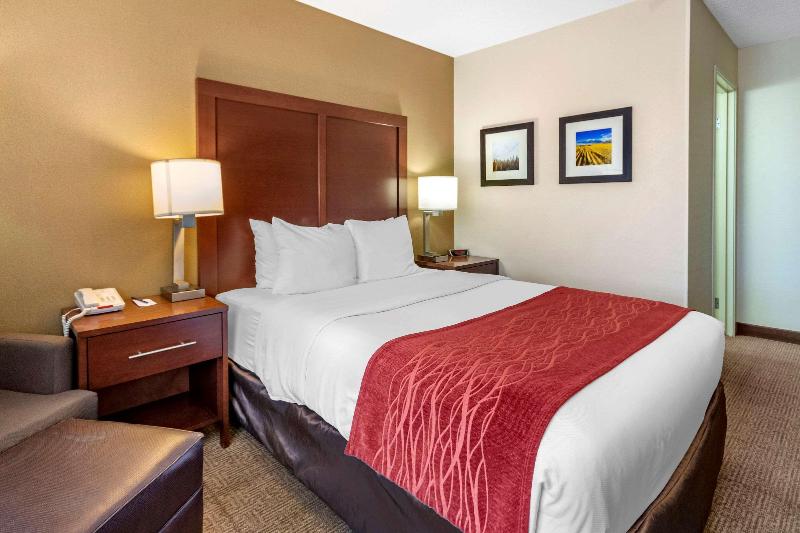 Comfort Inn Central Great Falls image