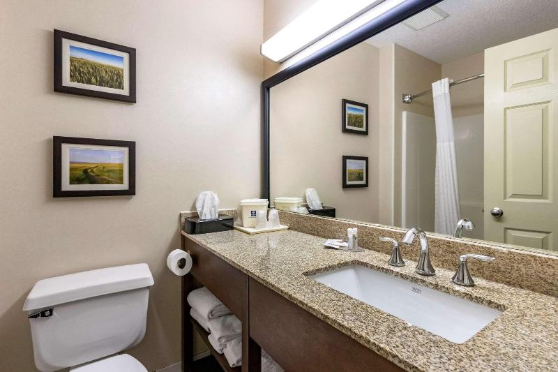 Comfort Inn Central Great Falls image