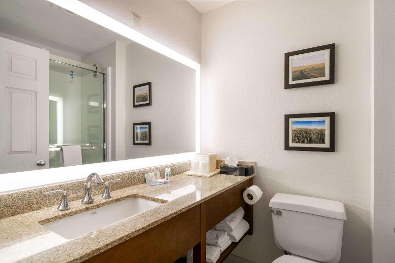 Comfort Inn Central Great Falls image